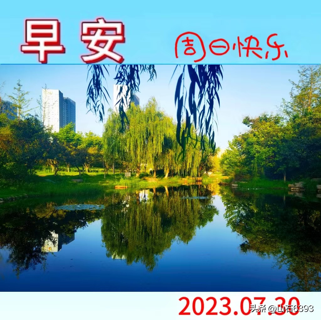 陈民永远的78师,战友美文30首