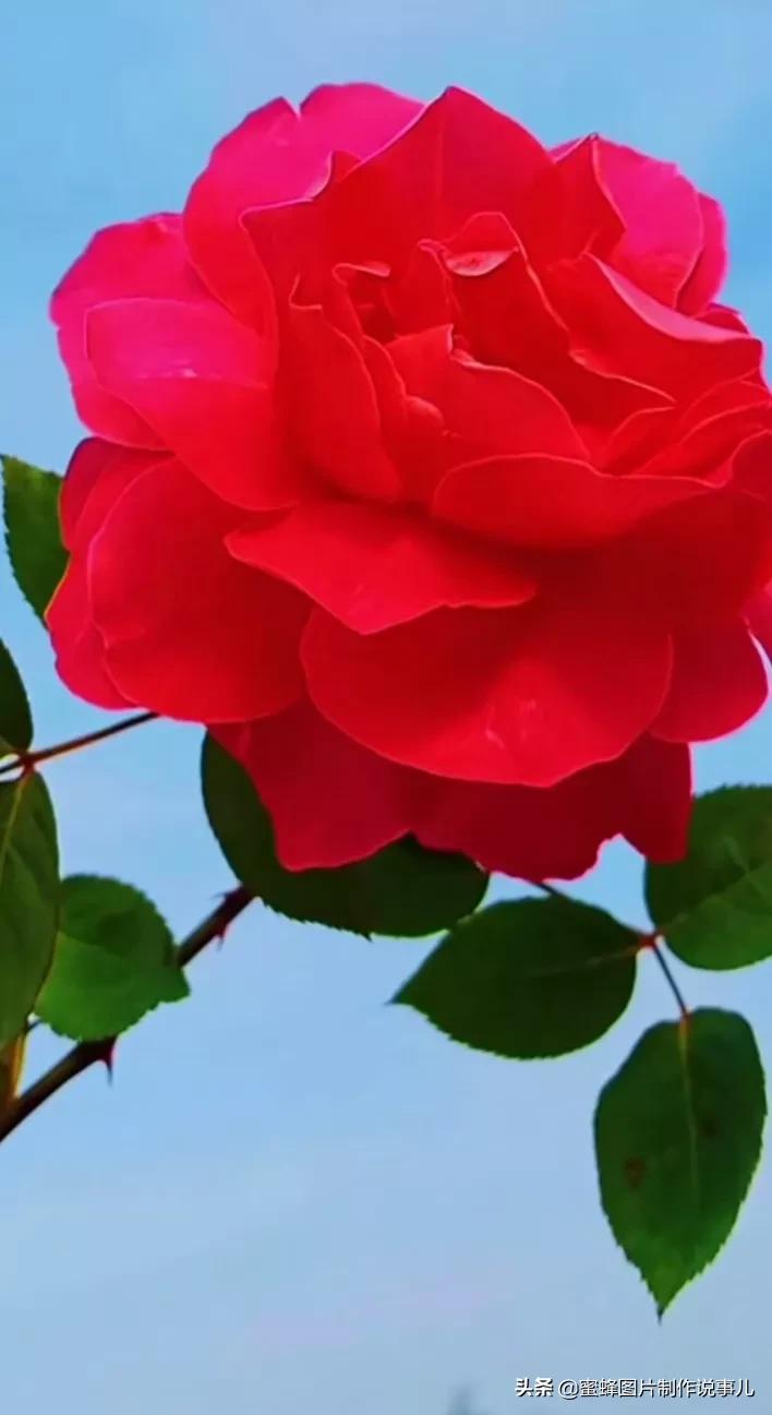 美图分享女神魅力照片,美图分享楚楚动人