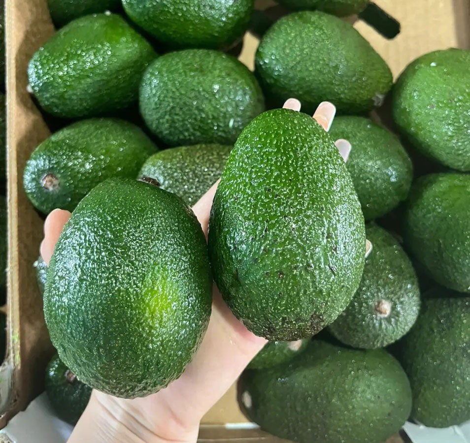 吃一个牛油果会怎样,吃一个牛油果能升多少糖