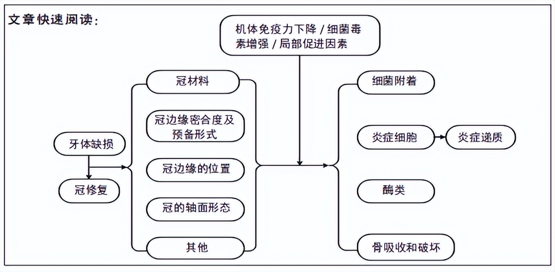 冠修复是修复真牙还是牙冠,不同材料牙冠修复对牙周的影响