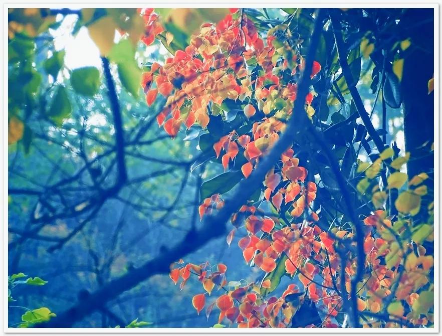 鑹插僵鏋勬垚浼樼浣滃搧,鑹插僵閫犲瀷鎽勫奖鏁欑▼