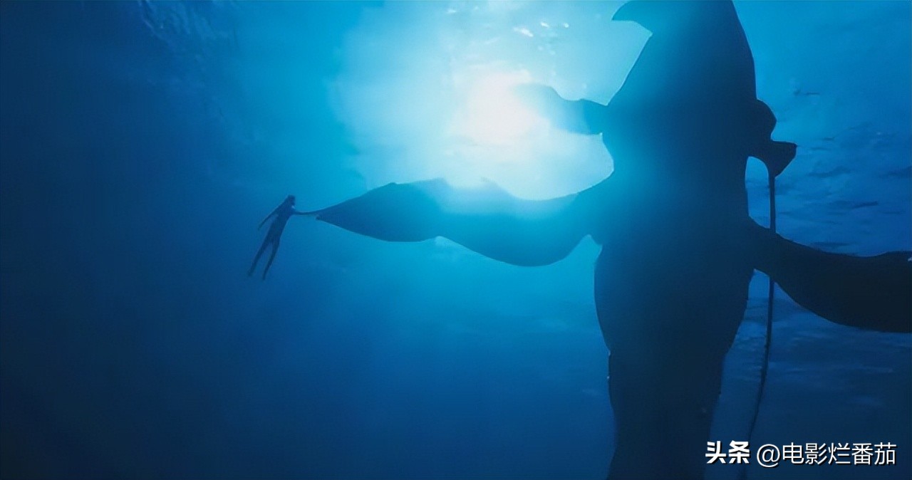 全球票房破亿电影,全球票房破百亿