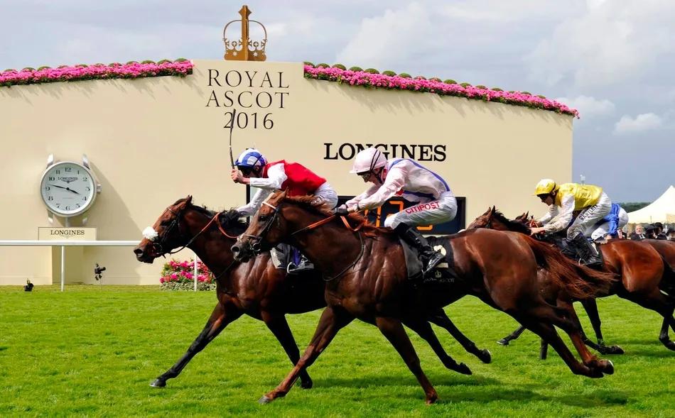 英国文化常识大全书,英国文化阅读理解