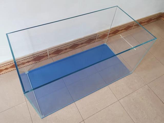 新手养兰寿金鱼饲养技巧,养好兰寿金鱼需要哪些东西