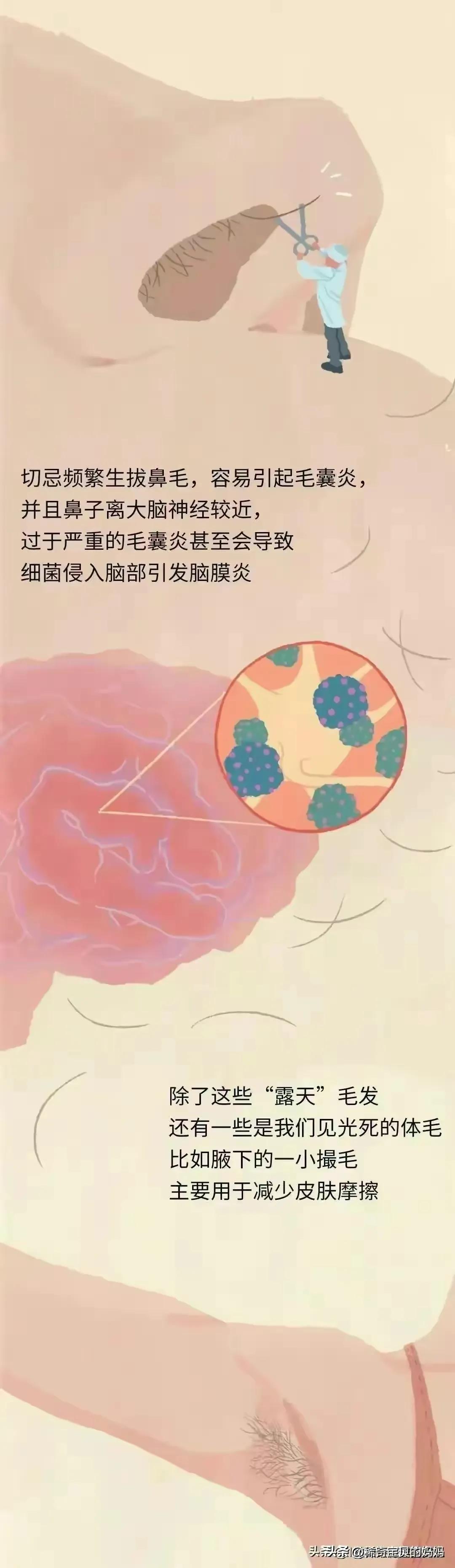 人类的毛发都是黑色的吗,人类体毛是为了什么存在的