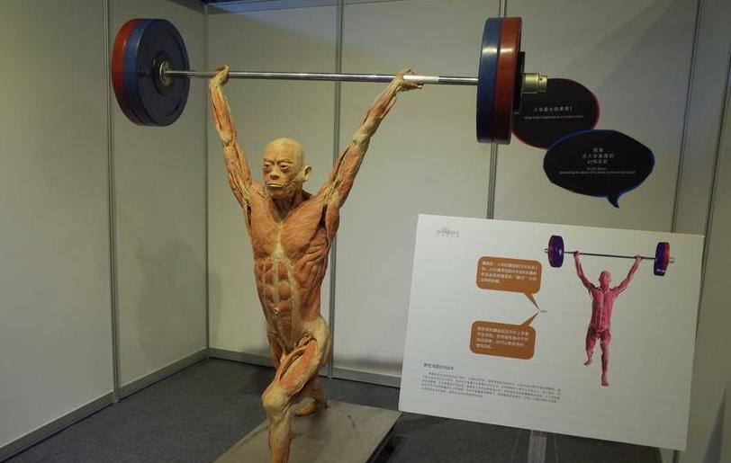 人体遗体捐献做标本有没有补偿,遗体捐献给医学院做标本能用多久