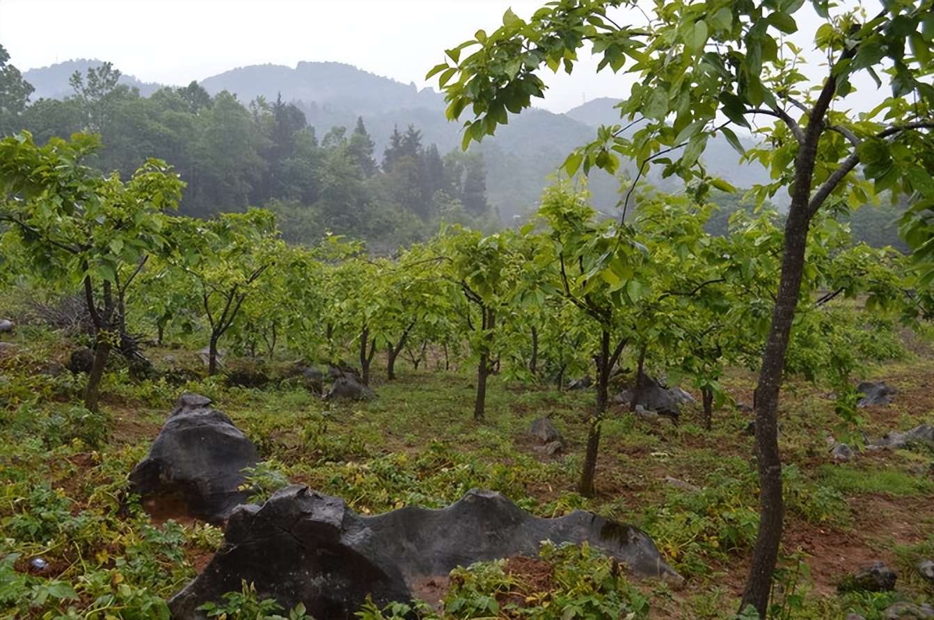 宣恩一座小城,湖北宣恩美丽的小城