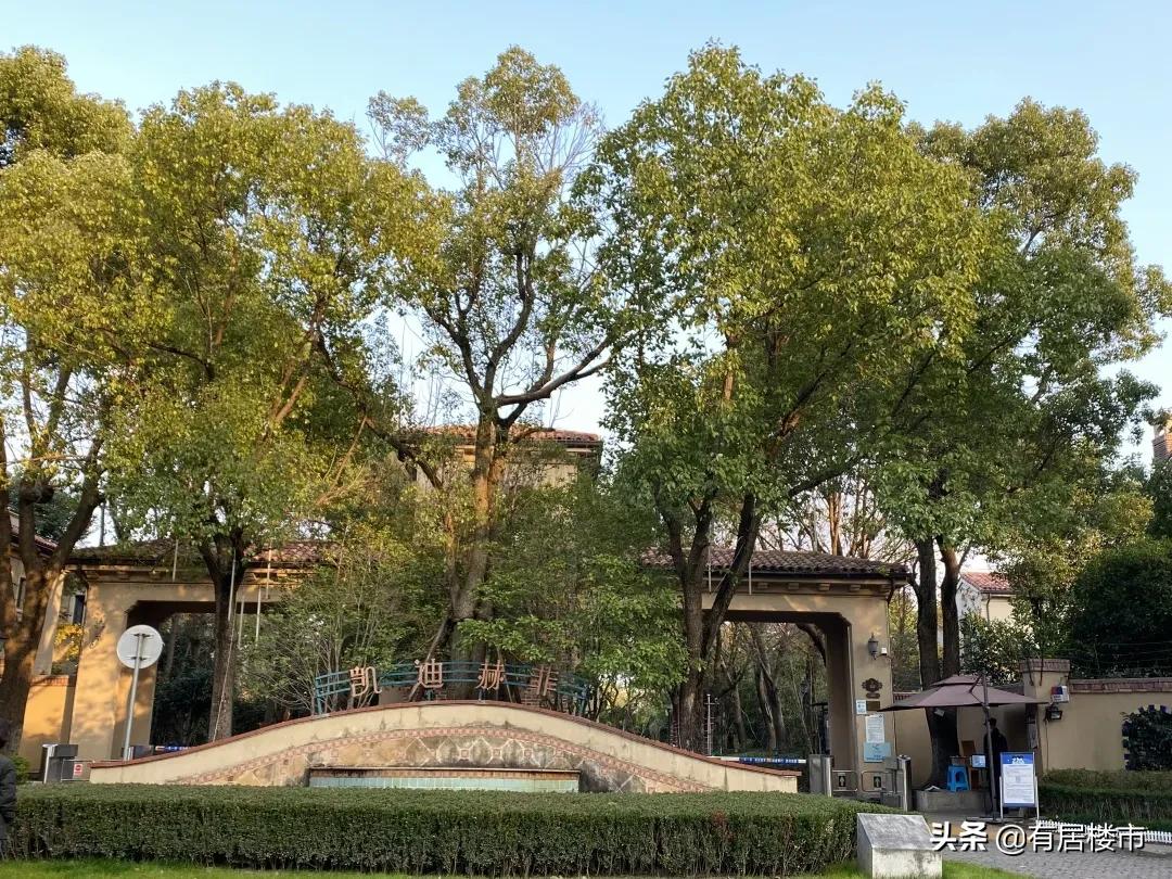 沉默了20年的赵巷别墅，还有机会翻身吗？