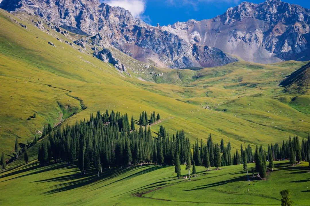 2023年初自驾游线路计划盘点,2023自驾游总结路线