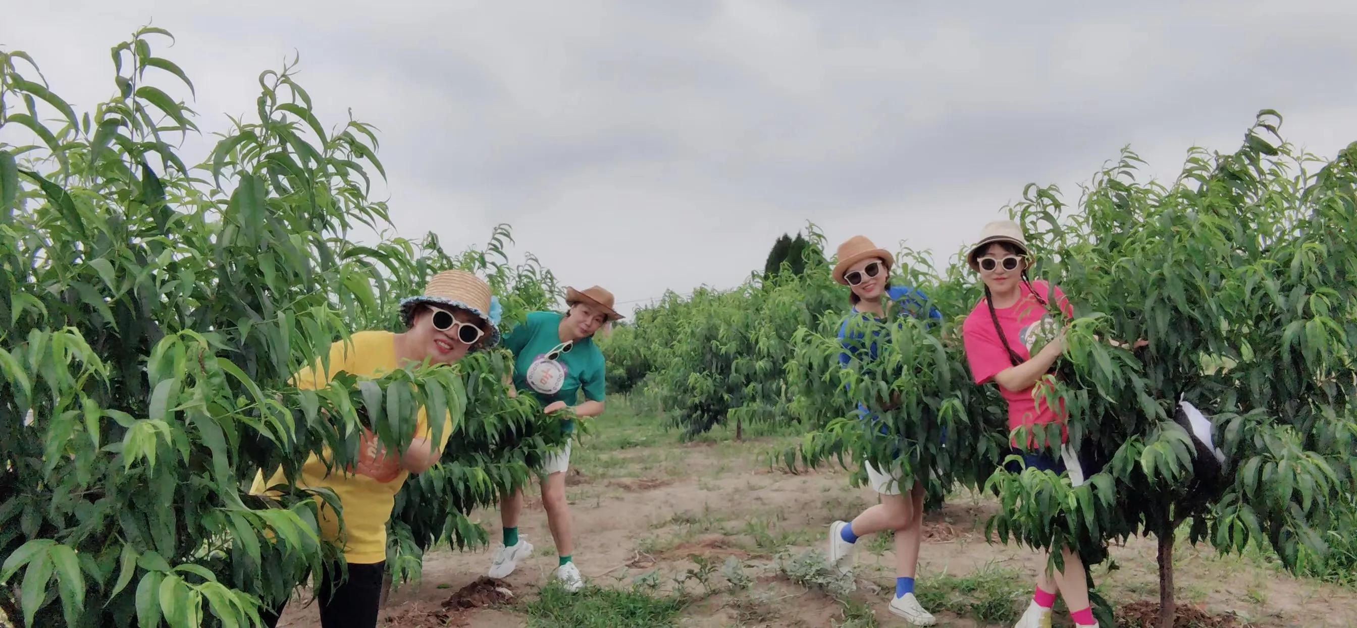 穿上闺蜜装的四个七零后，嫁到东南西北也断不了的姐妹情