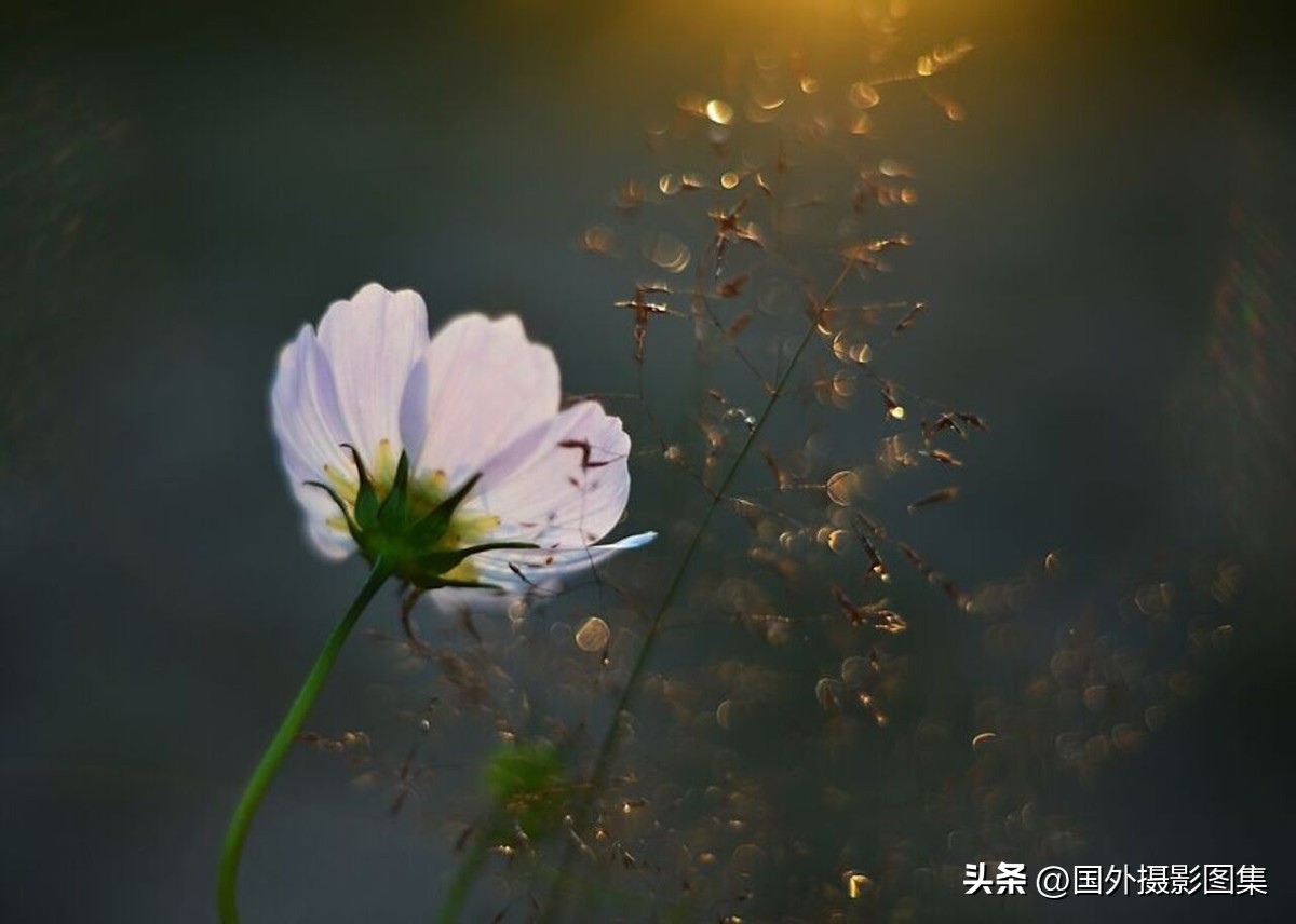 最美的景色秋天照片高清,夏天和秋天的绝美照片