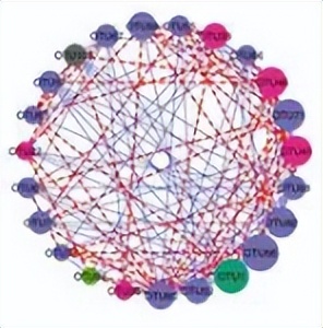 地下真菌网络：菌丝网络，在植物间信息传递、养分共享面的作用