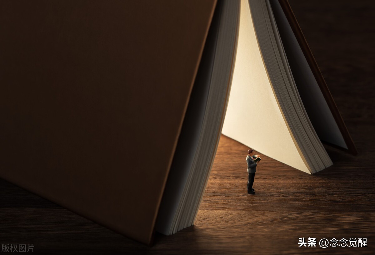 如何阅读一本书讲了什么,如何阅读一本书分析阅读层次