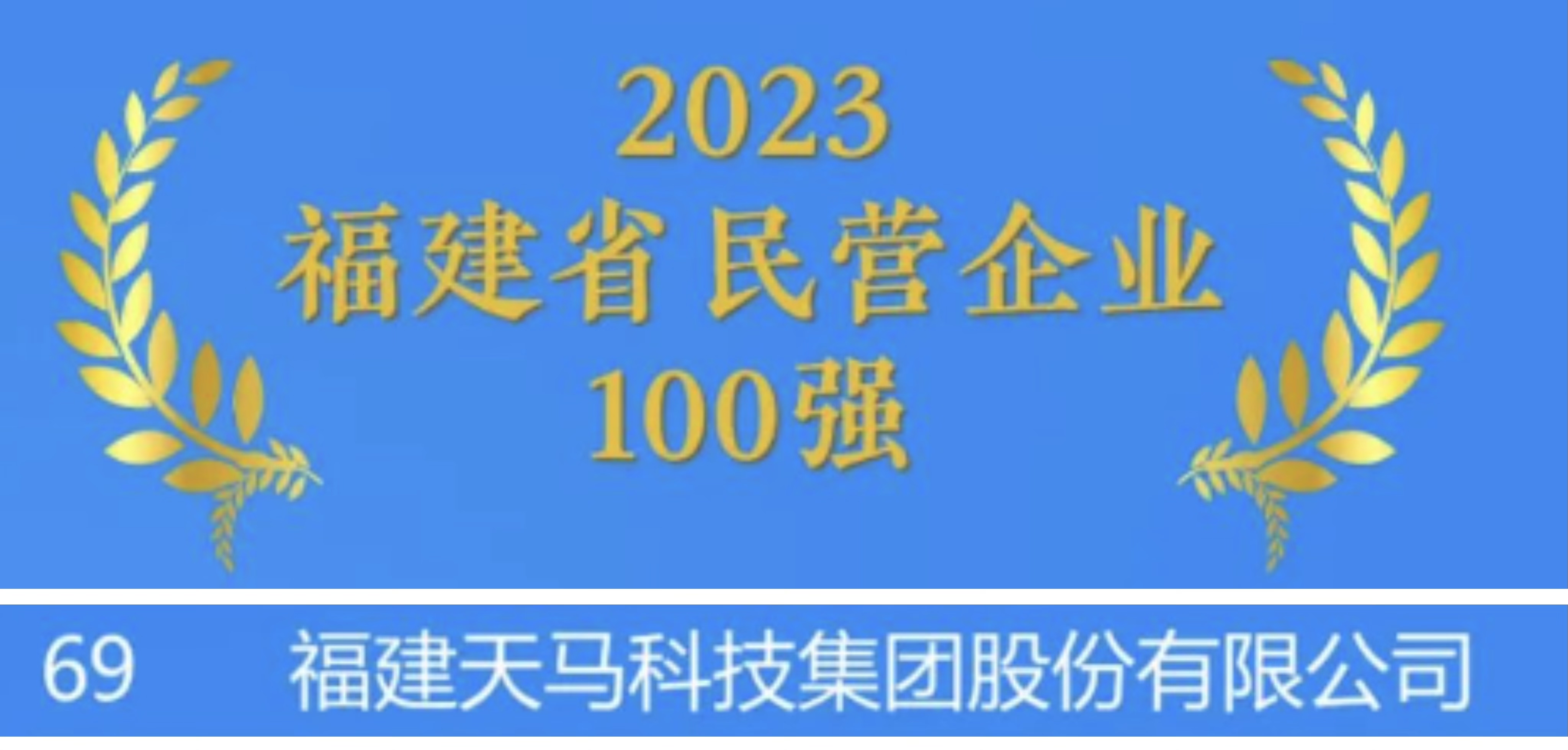 福建天马科技集团一年营收,福建天马科技集团最新消息