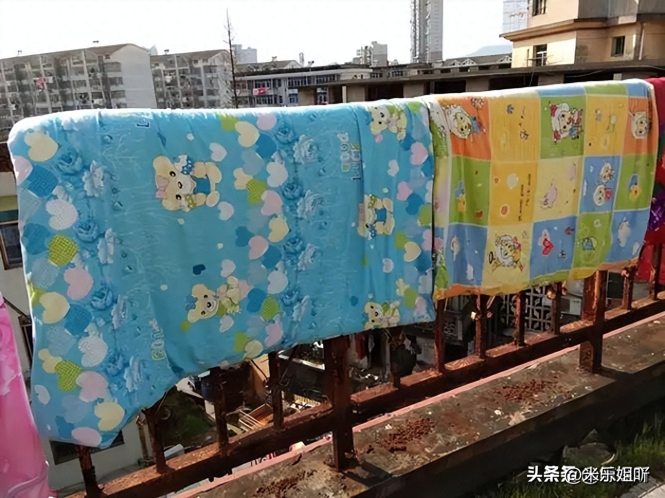 羽绒被暴晒会长虫子吗,羽绒被暴晒还有味道吗