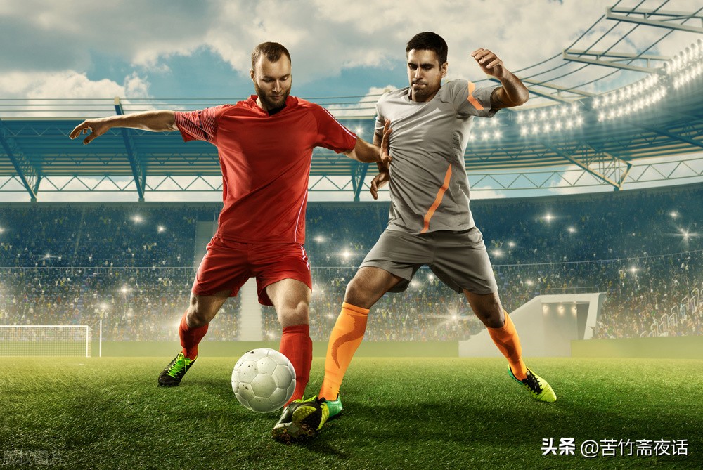 野性的啤酒,野性啤酒