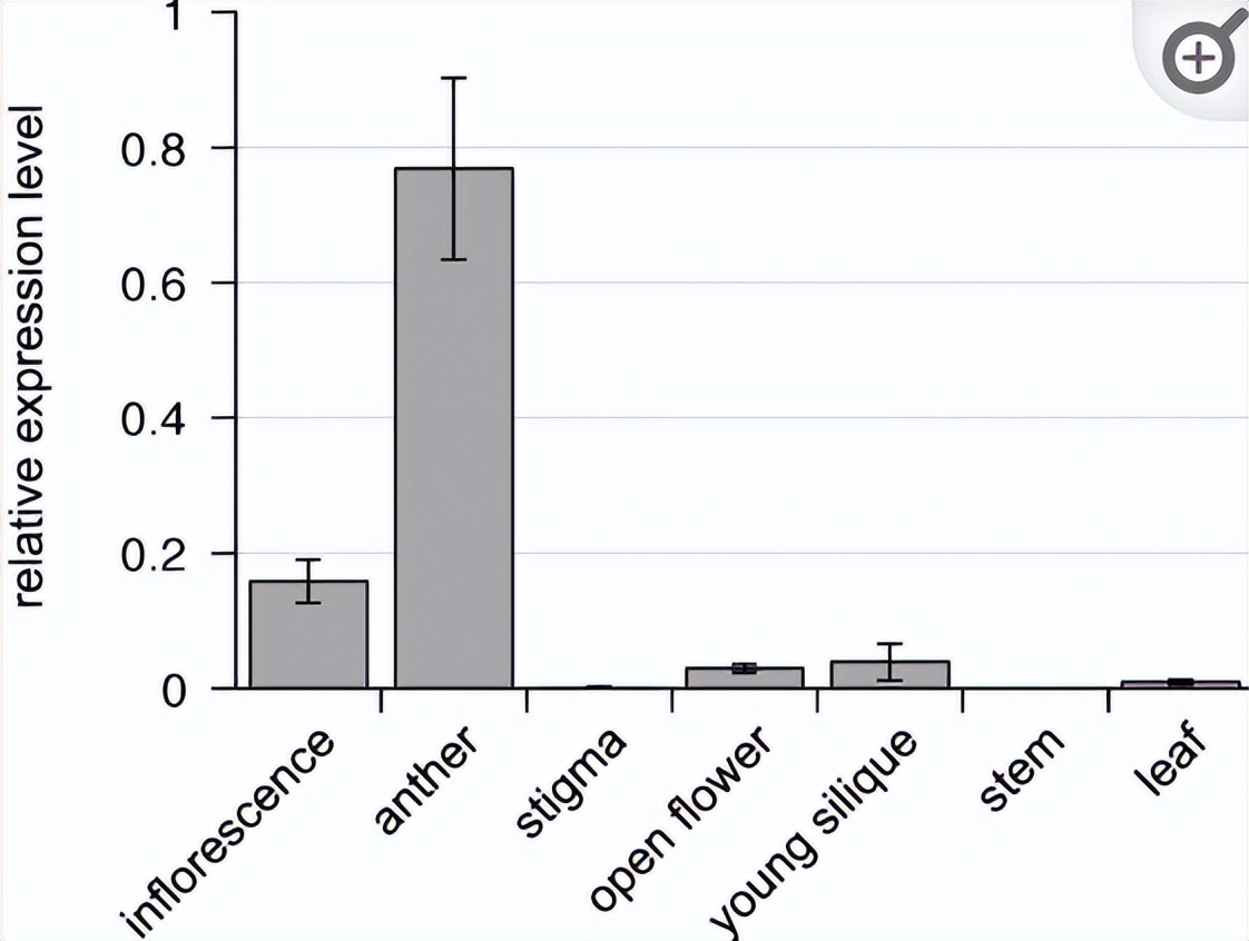 NPF2.8促进因子对拟南芥花粉表面黄酮醇糖苷积累作用的研究