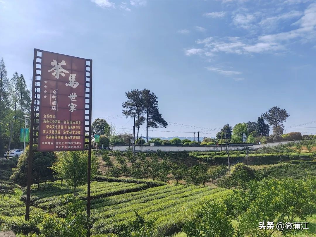 钂叉睙鎴愪匠鑼堕┈涓栧鐮斿鍩哄湴,鍥涘钂叉睙