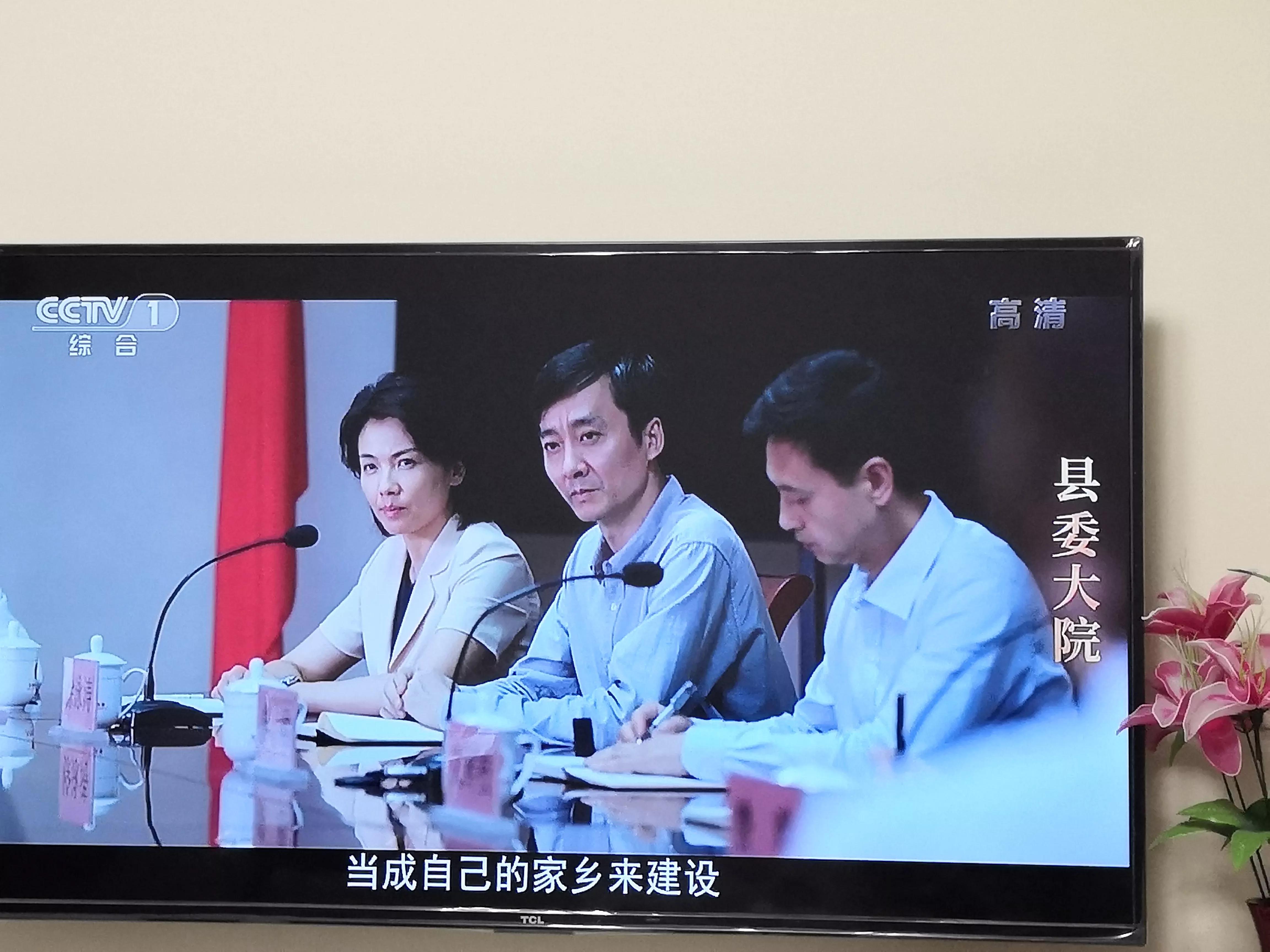 县委大院第一部,县委大院连续剧央视