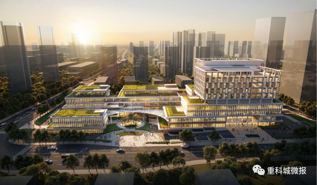 高新区人民医院中标公告,南阳市第一人民医院中标公告