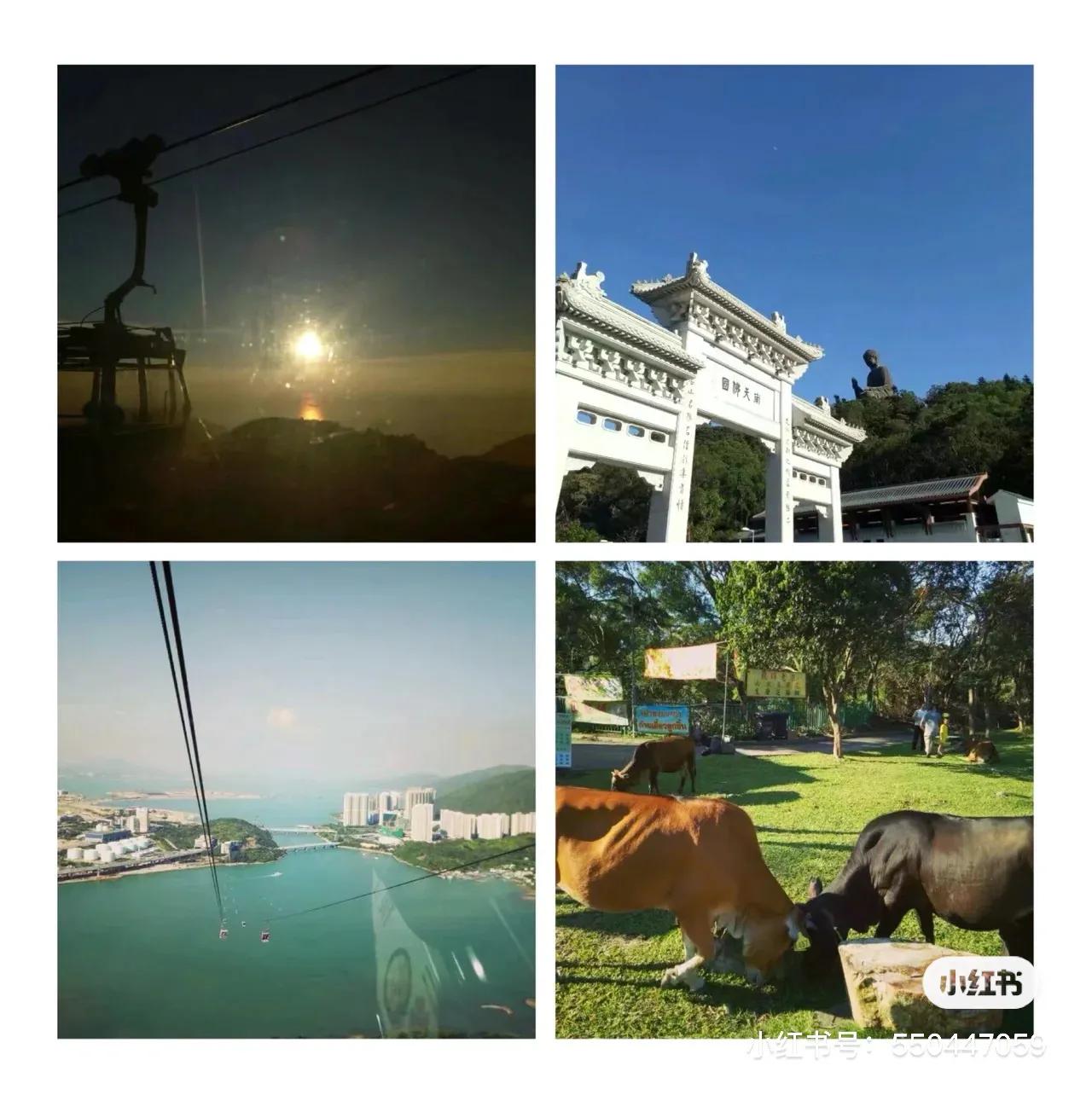 香港旅游过关注意事项2015年8月份,香港旅游攻略要带港币吗