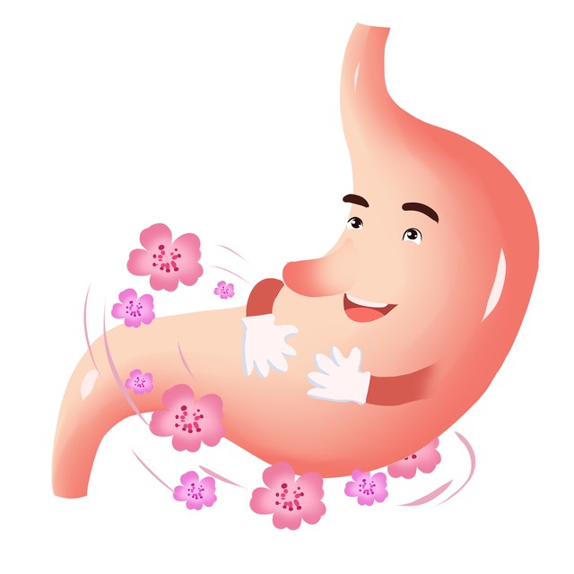 胃动力不足肠胃蠕动慢吃什么食物,经常胃不好的人应该注意什么