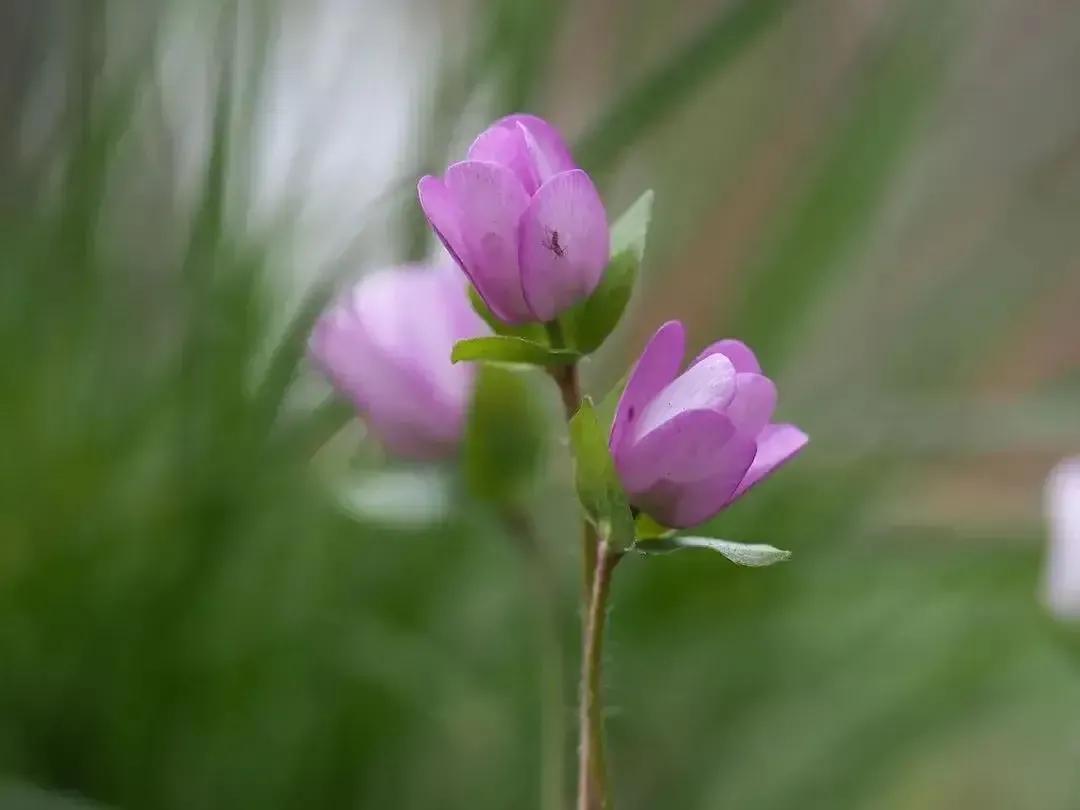 时光荏苒岁月如梭人生如歌,时光荏苒岁月如梭不负韶华