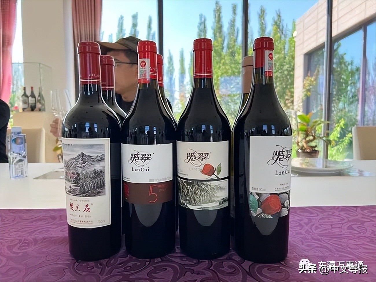 宁夏贺兰山东麓葡萄酒庄参观,宁夏葡萄酒庄参观