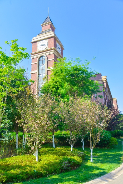 师大附小官渡小学怎么样,云南师范大学附属官渡小学视频