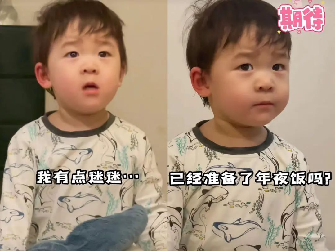 一个月涨粉最多的网红,最近一周涨粉最多的网红