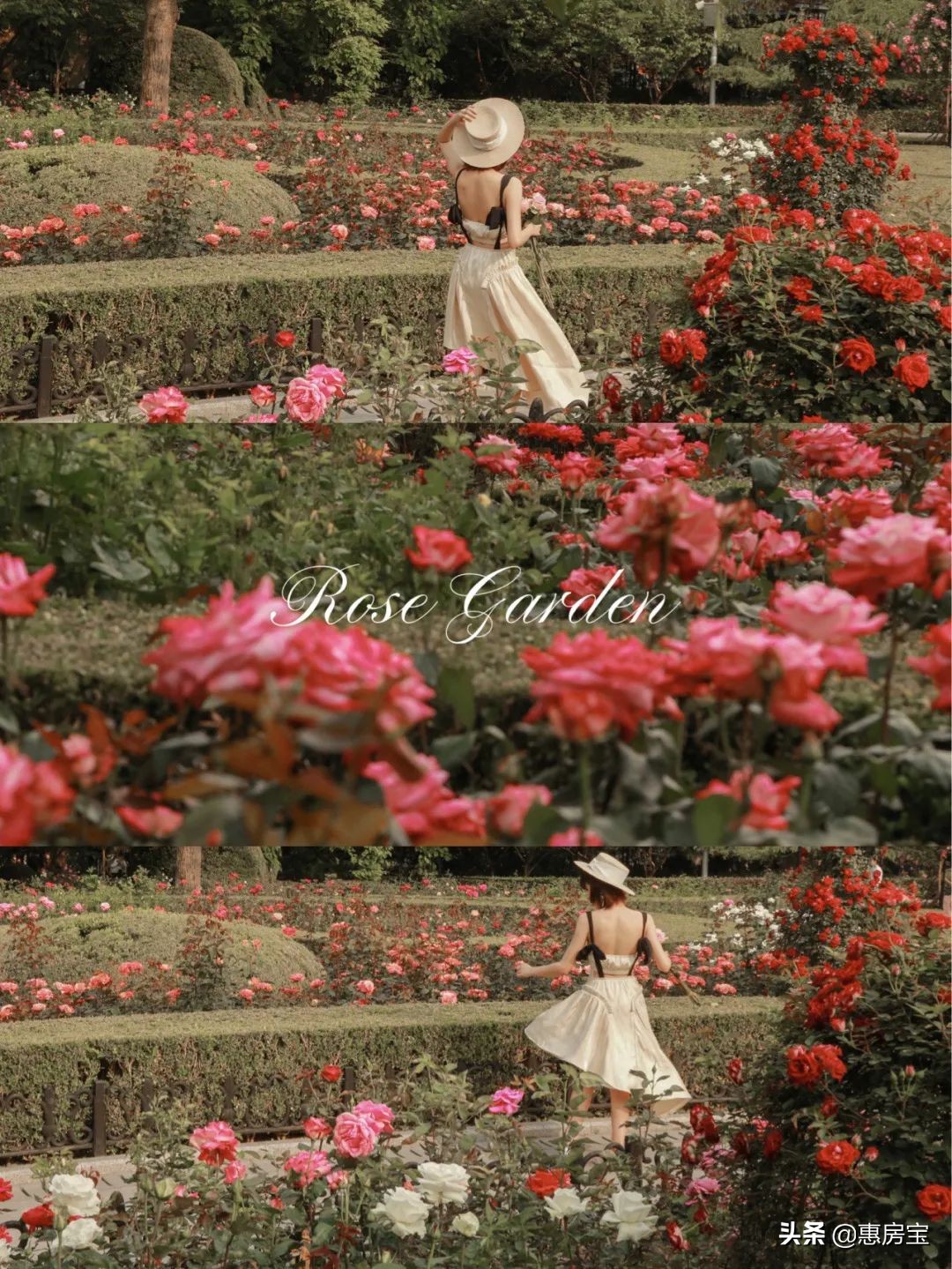 上海公园免费,上海免费公园排行