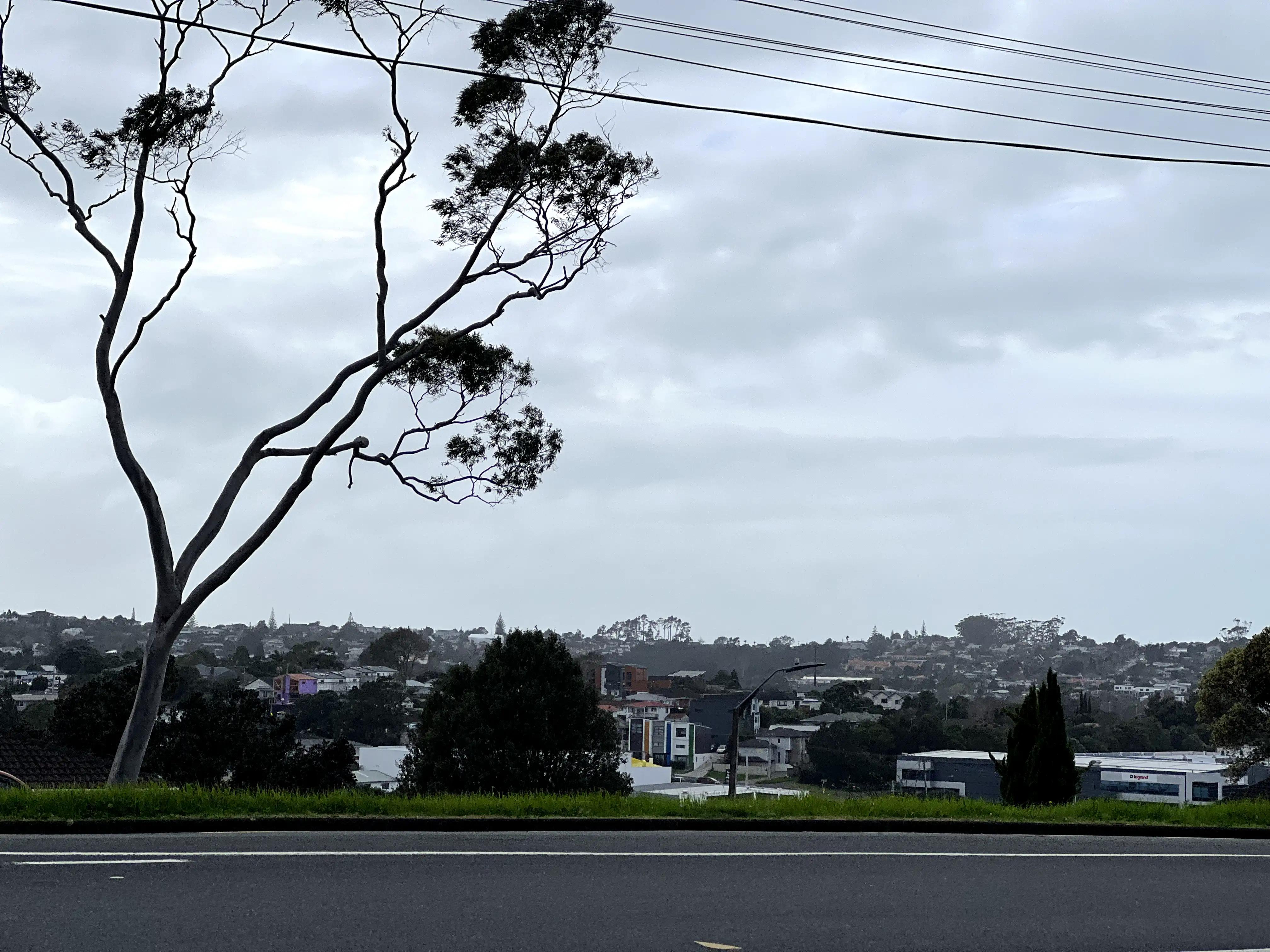 新西兰打工人的日常,新西兰打工的一天