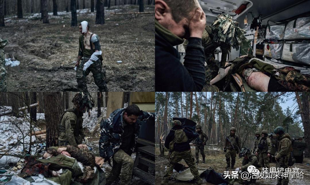 俄乌冲突德国参战最新消息,俄乌战争德国最新消息