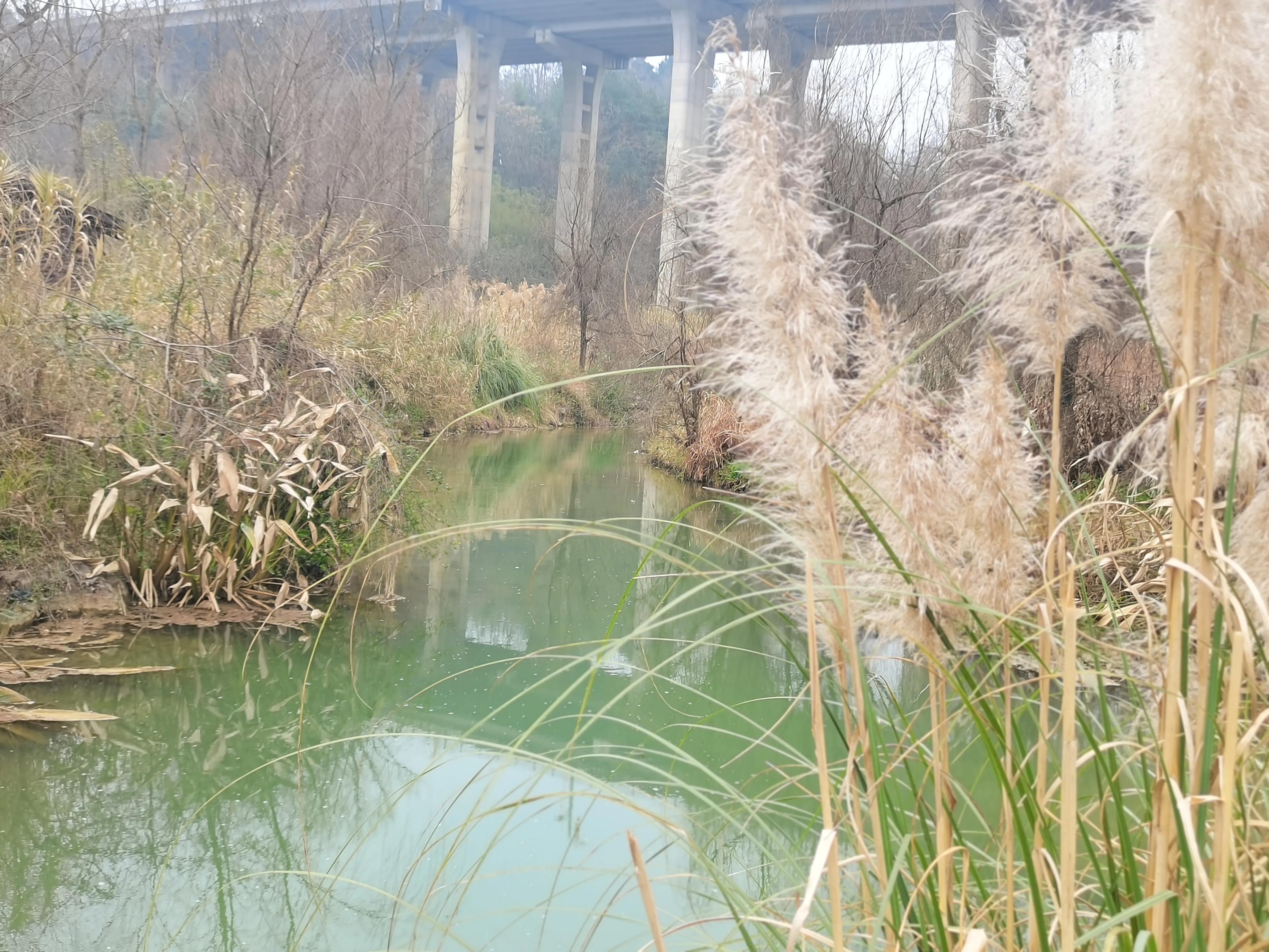 贵阳双龙生态公园怎么样,贵阳菊海双龙生态公园房价