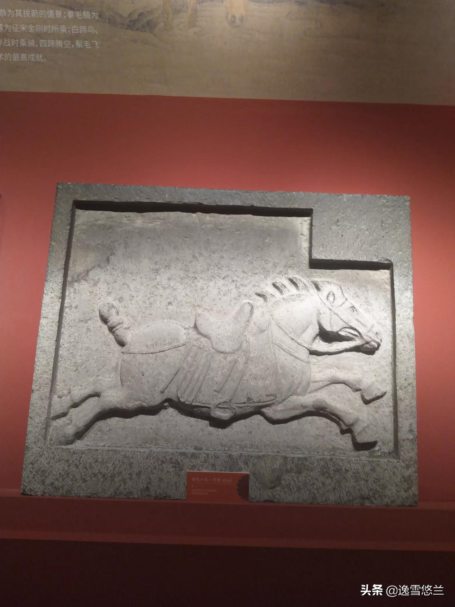 博物致知杂志,博物致知是书吗