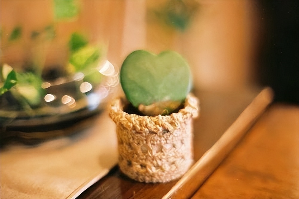 一个人不爱说话也不爱与人沟通,一个人不爱说话的原因