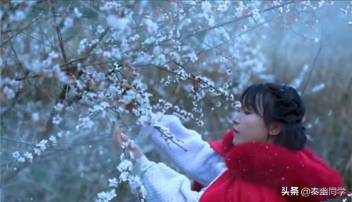 十首有关雪的十大绝美诗句,含雪和娇字的唯美诗句