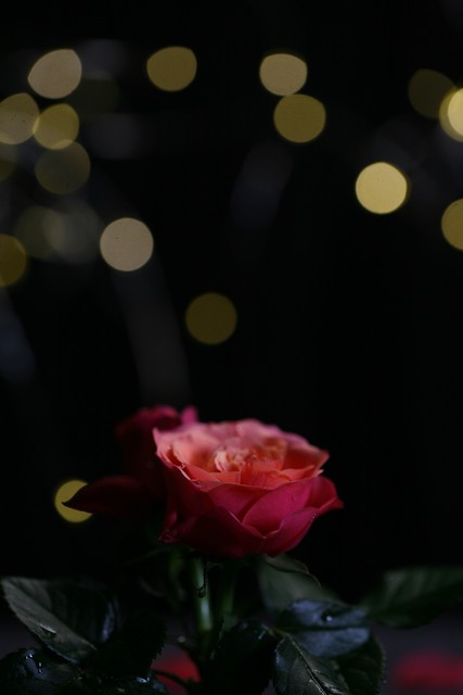 女人想离开一个男人会怎么做,女人想离开一个男人会有什么表现