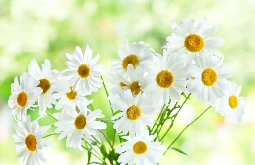 美容护肤经典一句话文案,为什么要补水护肤文案怎么说