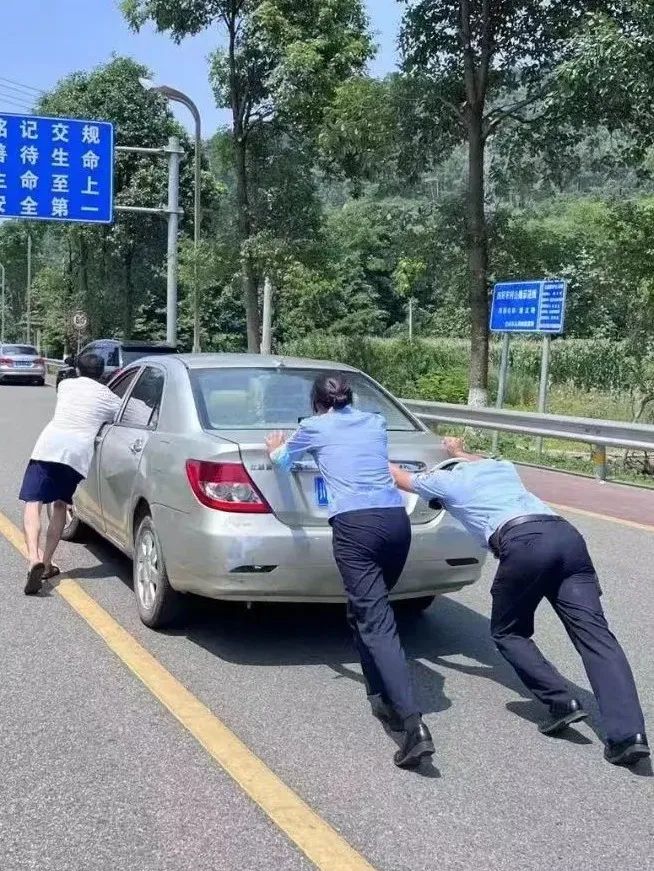 春风如你熠熠芳华,致敬了不起的她春风十里芳华如你