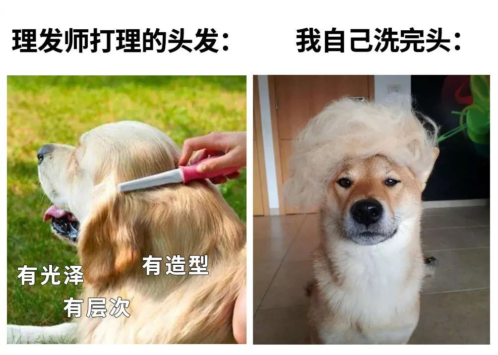 花了200大洋烫头,花200块钱烫的头