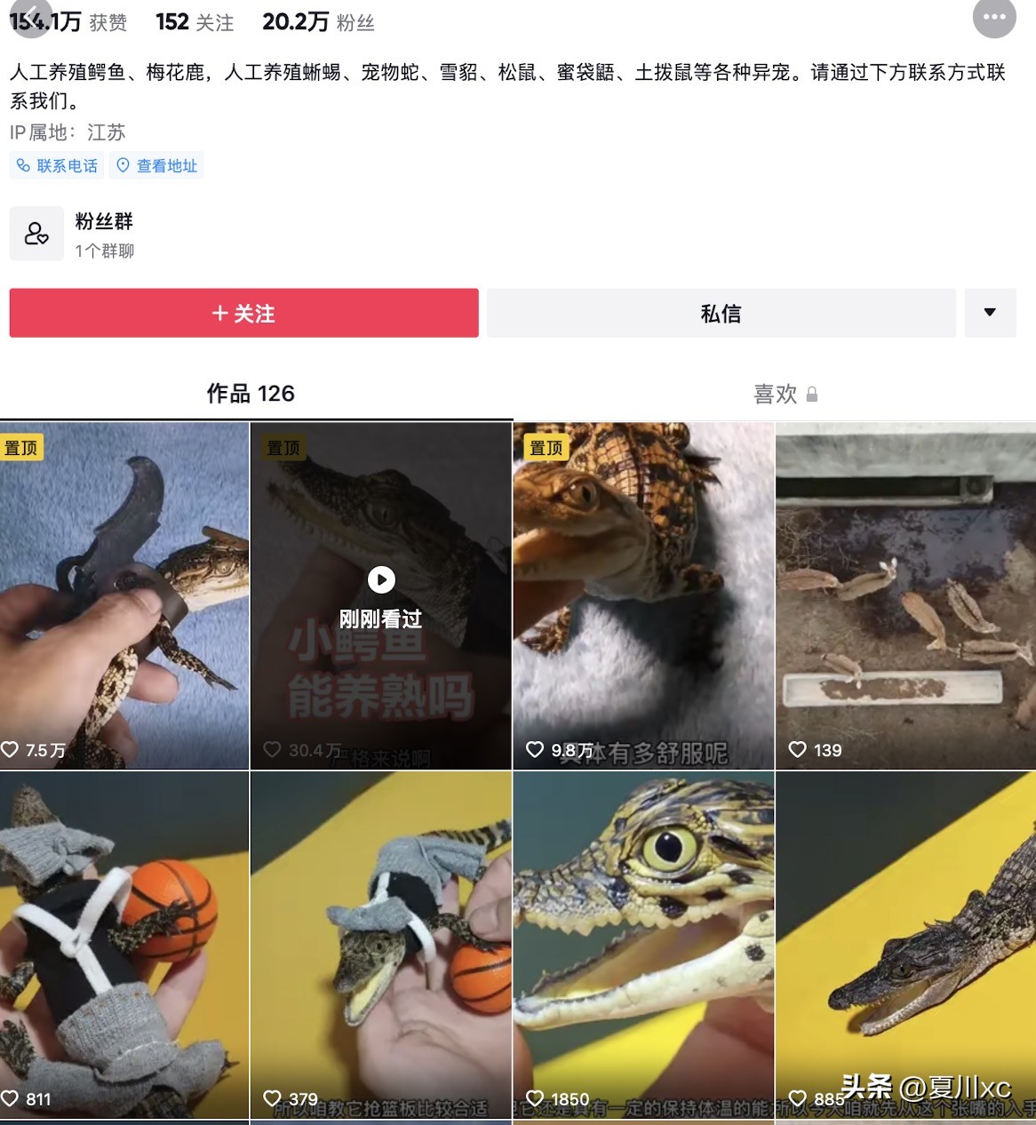 做宠物的什么行业赚钱,2023宠物行业比较适合创业的项目