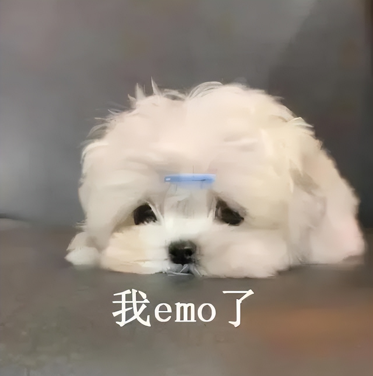 这届“双11”更难了，同款自己卷自己，不同平台价差高达20%，大冤种还是我