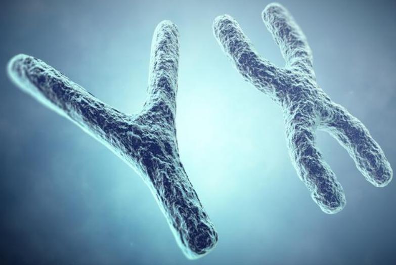 男性的乳头是用来干嘛的？除了区分“正反面”，还有这四个作用