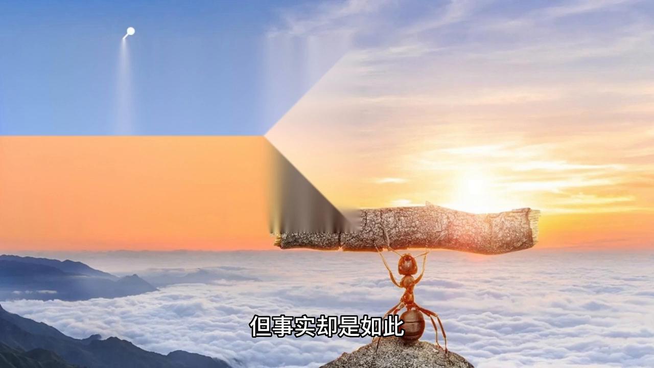 窄门攻略,窄门的路好走吗