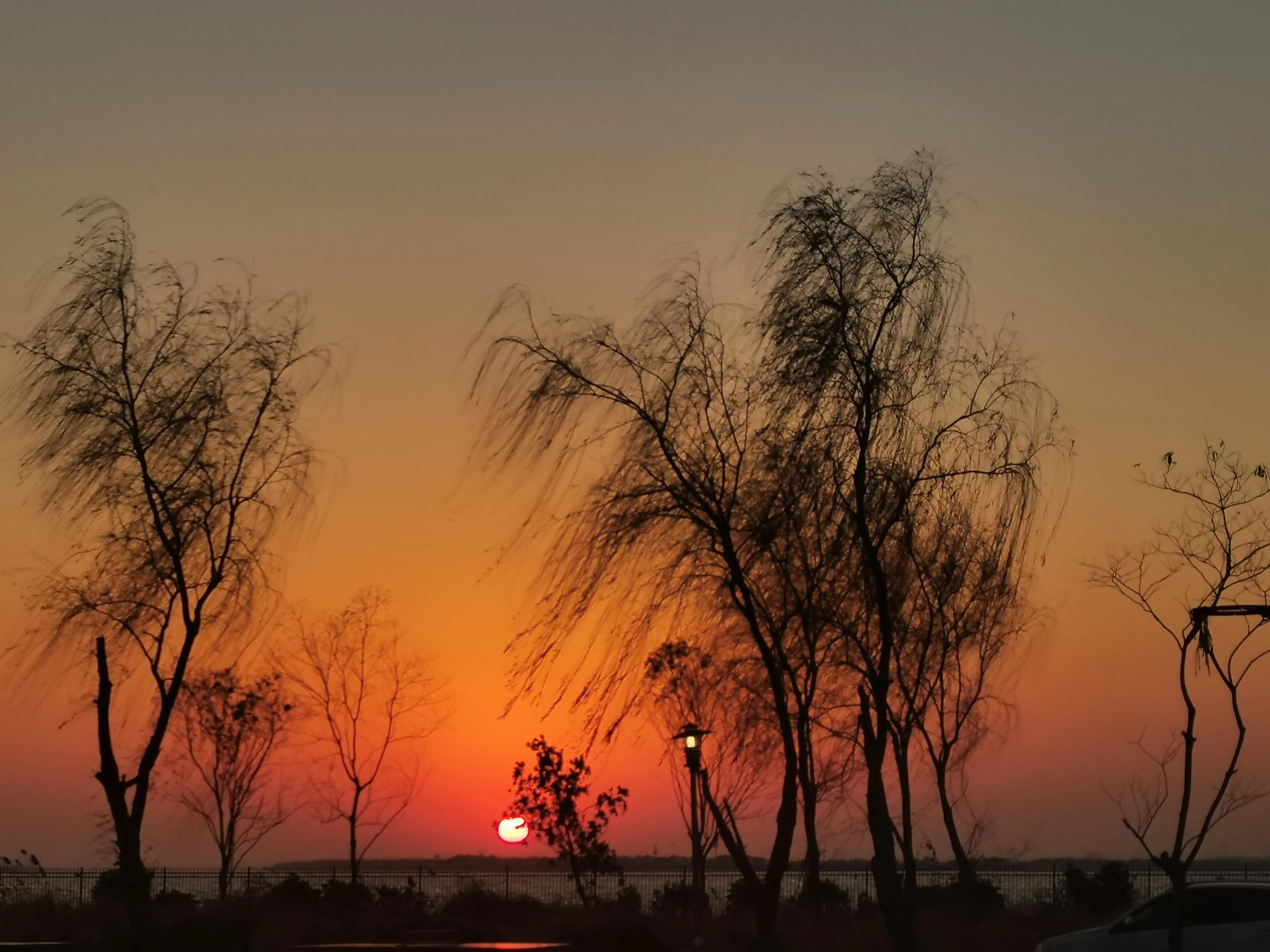苏州托普学院是大专吗,苏州托普学院死人事件后续