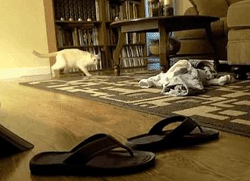 每日一笑腿短不是你的错,每日一笑短腿