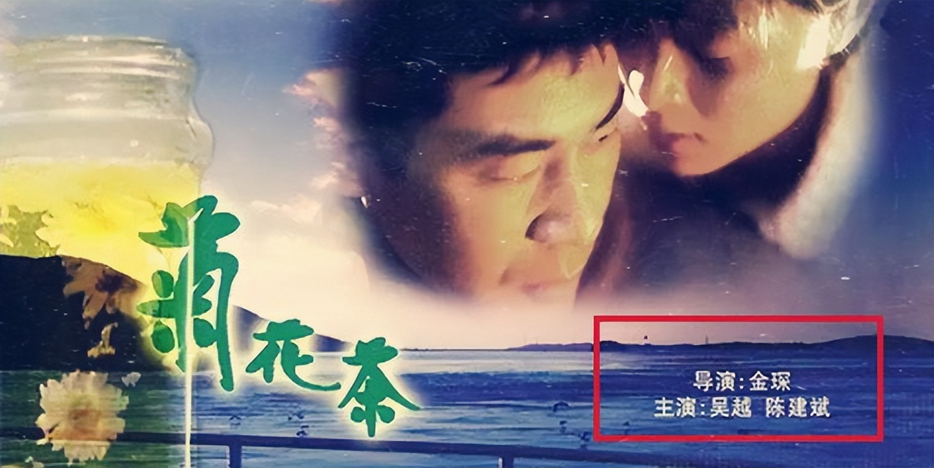 被低估演技派明星,被低估的演技派