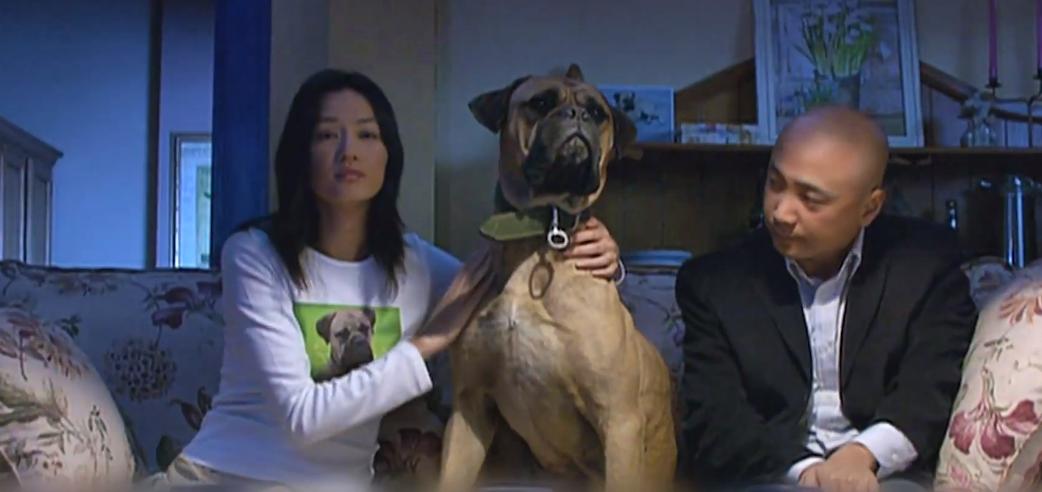 因为一碗炸酱面结束七年婚姻,7年婚姻却输给一碗炸酱面