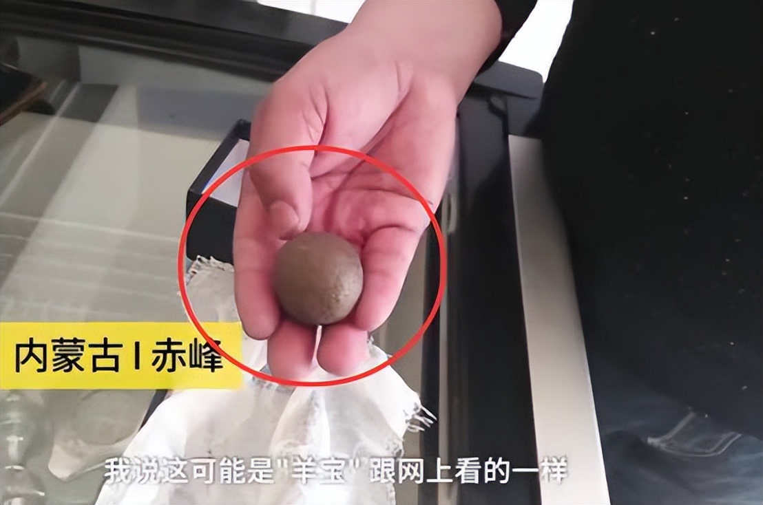 江苏一烧烤店,盐城一烧烤店发现上亿现金